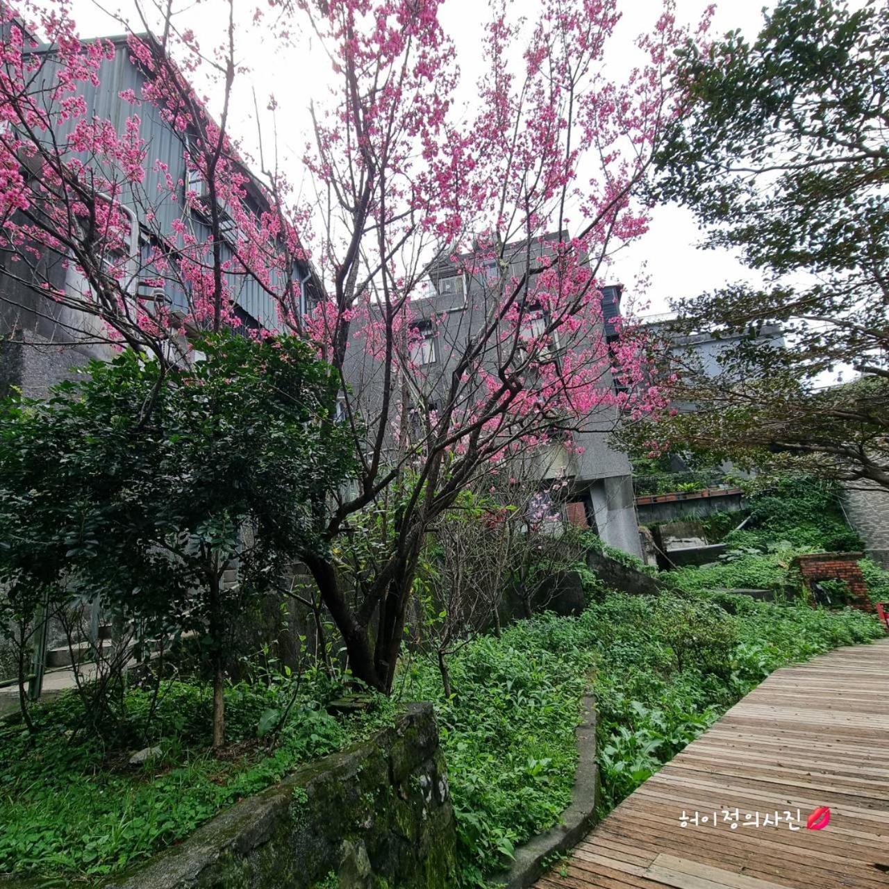 九份市下巷石屋民宿 エクステリア 写真